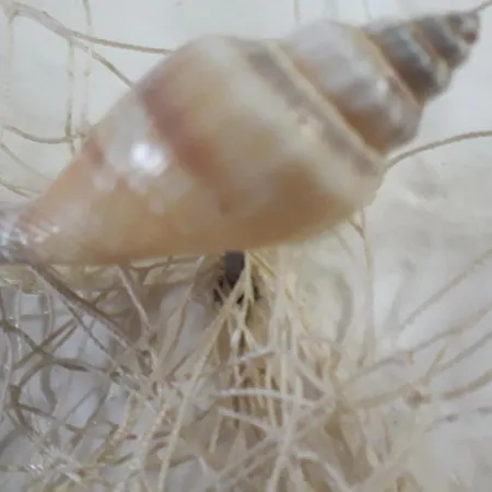 Pensionat Fontana 3*