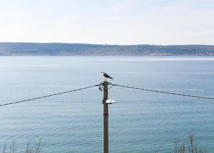 Fontana 3* Starigrad Paklenica